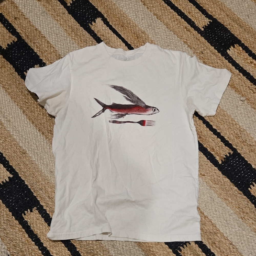 Patagonia Mens White Organic Cotton Tee, Graphic Design, Slim Fit,  GUC